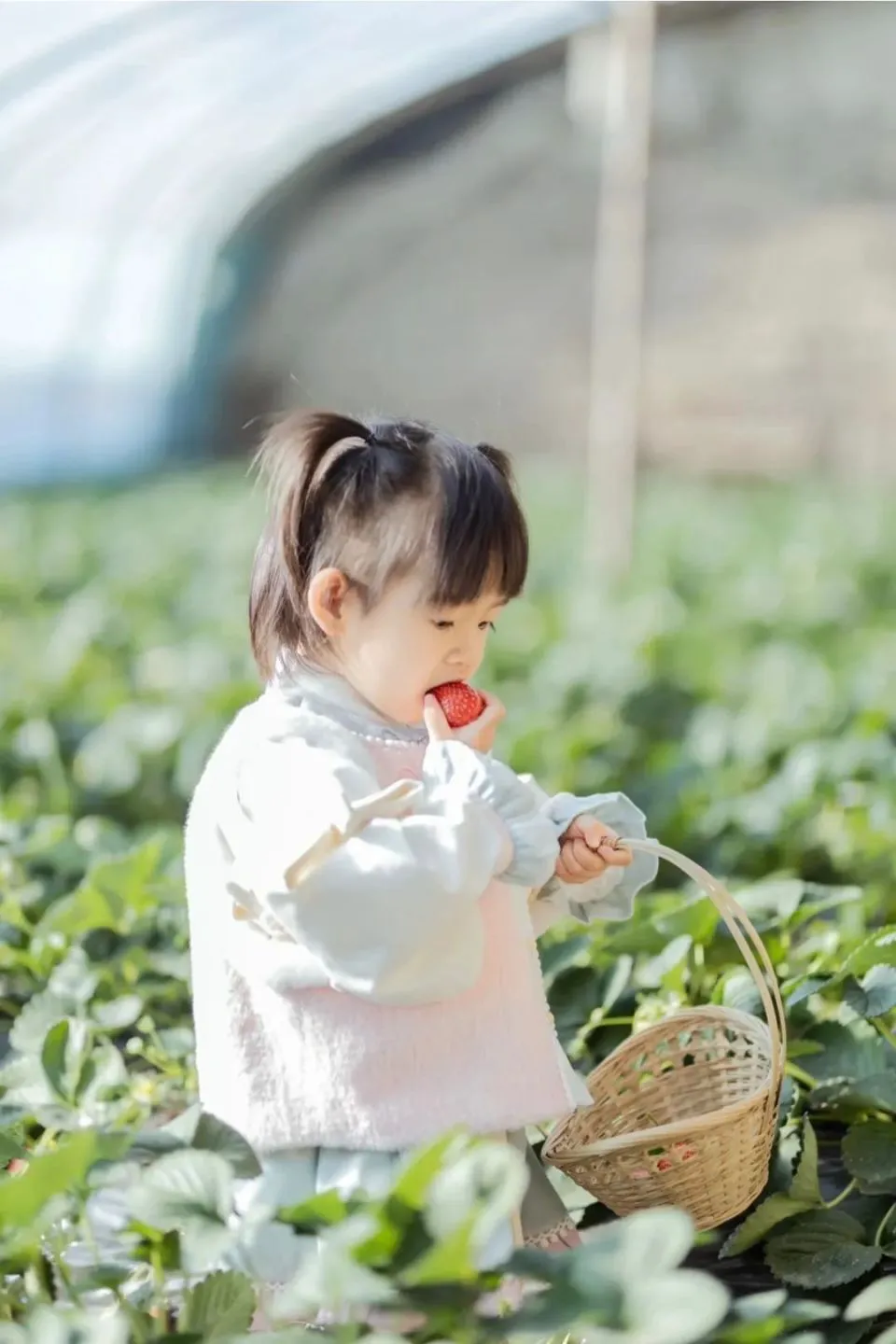 篮球一周体能训练计划表怎么写的_2